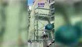 浙里是龍港市西排社區(qū)，此處再添一塊巨石新地標(biāo)！