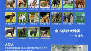 溫州全市通知：禁養(yǎng)這25種烈性犬！