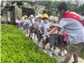 【走進小學 體驗成長 】——龍港市陽光寶貝幼兒園幼小銜接走進八小