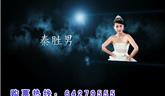 俊偉之夜2012龍港群星演唱會宣傳片