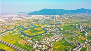 事關(guān)龍港市生態(tài)文明建設(shè)！全市征集→
